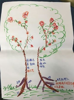 研究资助局公众讲座 - 长者生活质素 (第一节讲座 - 图 1) 生命树
