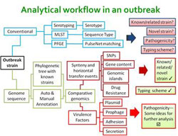 RGC Public Lectures - Food Safety and Health (First Session - Photo 1) - Analytical workflow in an outbreak of a foodborne pathogen