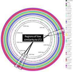 研究资助局公众讲座 - 食物安全与健康 (第一节讲座 - 图 3) - 十个鼠伤寒沙门氏菌本地分离株的基因组比较