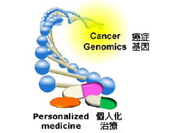 研究资助局公众讲座–基因体医学及个人化治疗 (第一节讲座 - 图 1) 癌症基因与个人化治疗