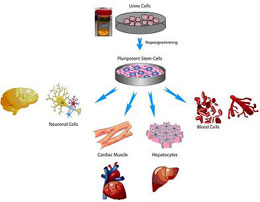 RGC Public Lectures - Genomic and Personalized Medicine (Second Session - Photo 1)