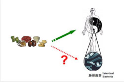 研究资助局公众讲座–生物医学工程 (第一节讲座 - 图 1)