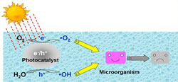 RGC Public Lectures - Waste Treatment (Second Session - Photo 1) Photocatalytic Disinfection