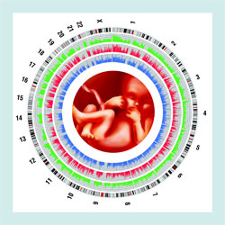 RGC Public Lectures - Genetics, DNA Therapy and Personalized Medicine Novel Cancer Treatments (Second Session - Photo 1) Fetal genome sequencing from plasma