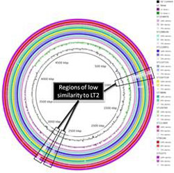 RGC Public Lectures - Food Safety and Health (First Session - Photo 3) 