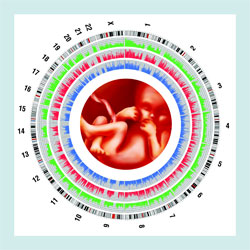 研究資助局公眾講座 - 遺傳學、基因治療及個人化治療／嶄新癌症治療 (第二節講座 - 圖 1) 來自孕婦血漿的胎兒基因組測序